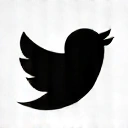 Twitter Logo
